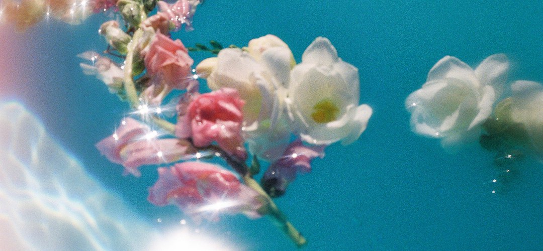 Un bouquet de roses onirique flottant dans l’eau