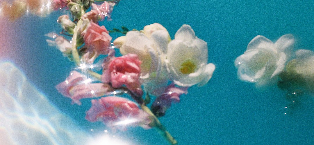 A dreamy bouquet of rose floating in water
