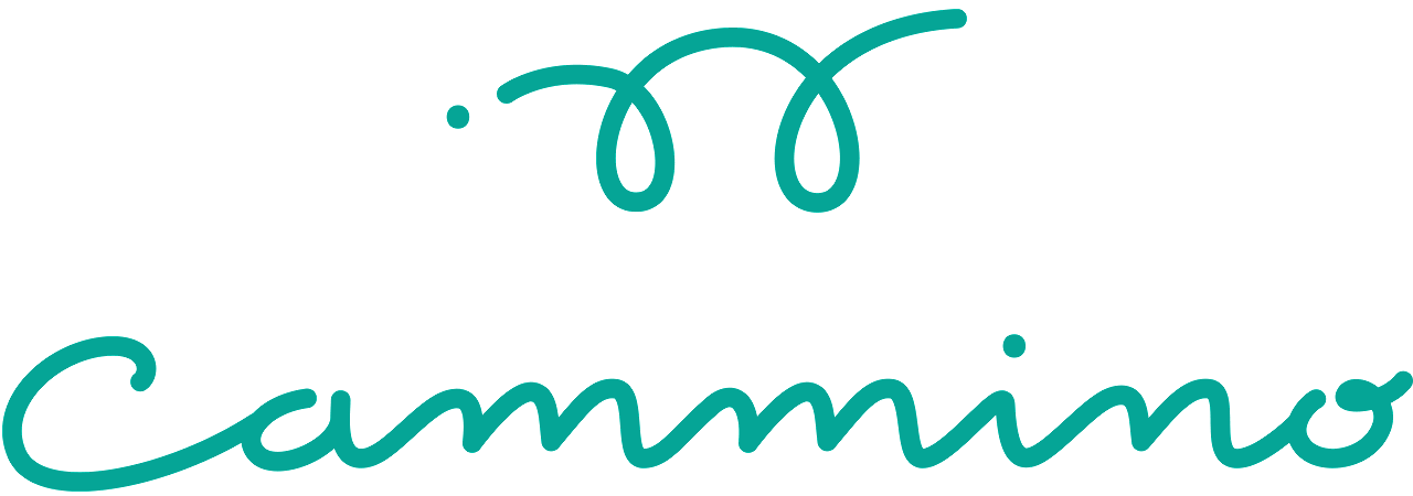 Logo of Cammino